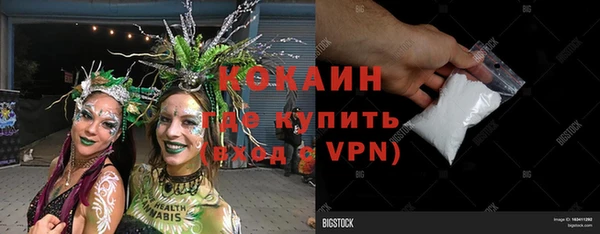прущие грибы Наволоки