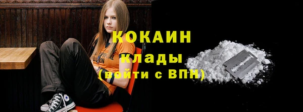 дмт Михайловск
