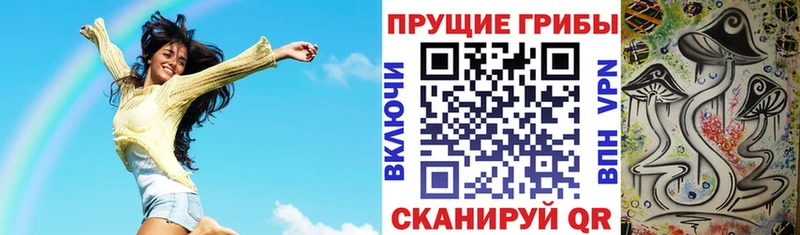 Галлюциногенные грибы Psilocybine cubensis  Новый Оскол 
